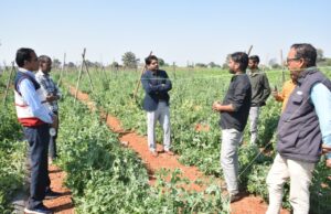 कलेक्टर पहुचे किसान के बीच किया व्यावसायिक खेती एवं बने किसानो की मसीहा